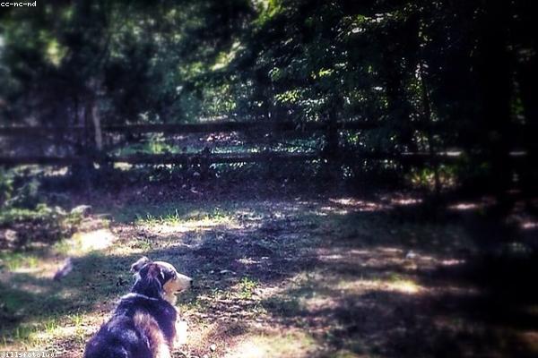 Loan Comparison Calculator tool: Understanding Your 401k Fees — free financial calculator