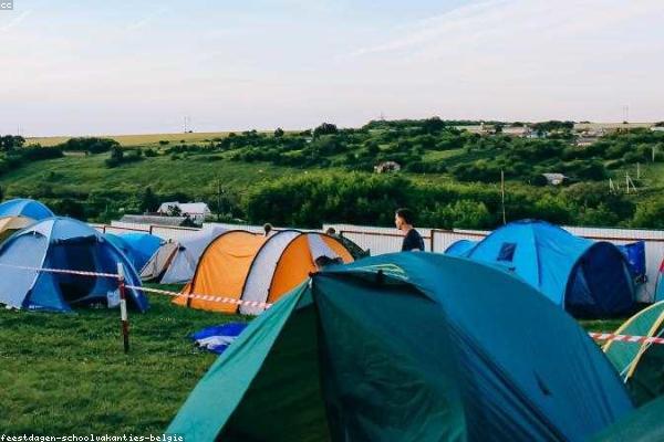 Disability Insurance Calculator tool: Estate Planning Essentials — free financial calculator