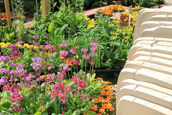 Minimum Payment Calculator tool: The FIRE Movement: Retire Early — free financial calculator