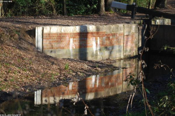 Social Security Calculator tool: Avoiding Common Scams and Fraud — free financial calculator